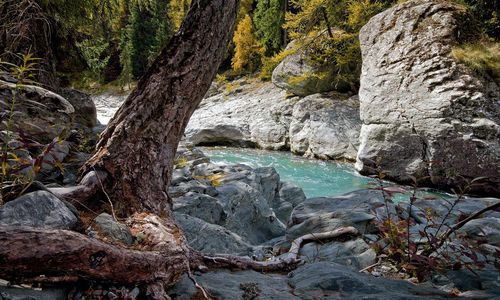 Basalt Fiber Rock Bolts Break Through Traditional Support Limitations, Empowering Green Mine Development